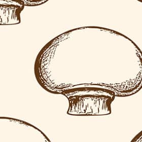 Les champignons blancs : entre vertus et dangers