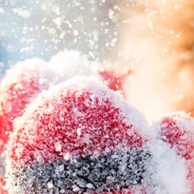 Comment garantir le bien-être de vos enfants et de votre famille