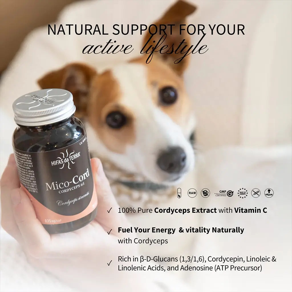 Mico-Cord - 100% Reine Bio-Cordyceps-Kapseln