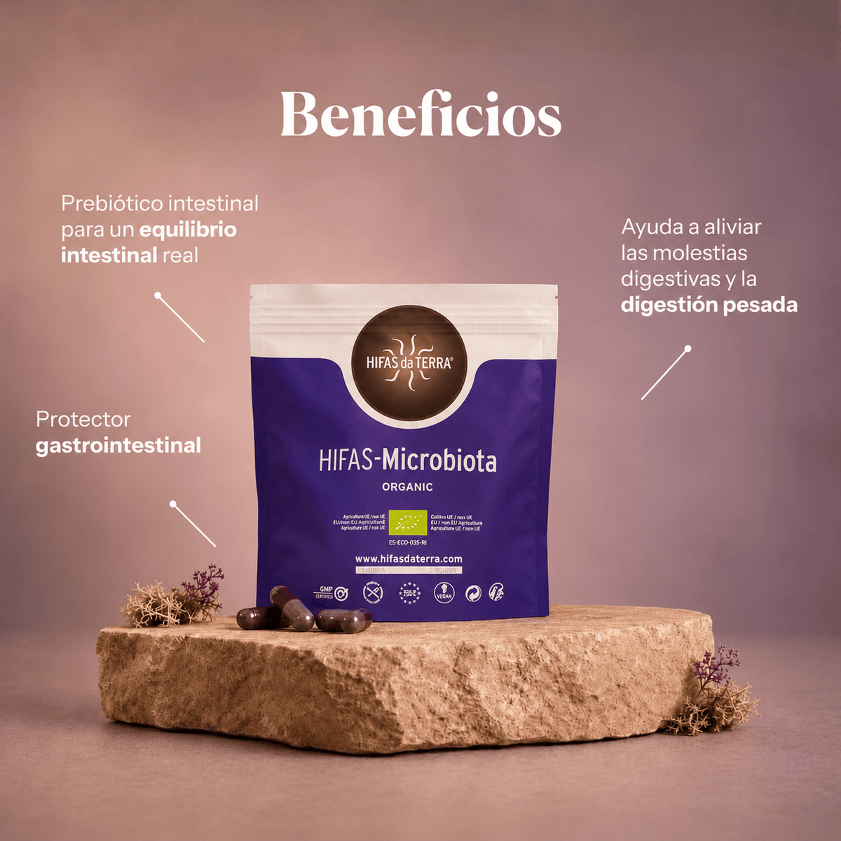 DUO EQUILIBRIO: Equilibrium + Microbiota