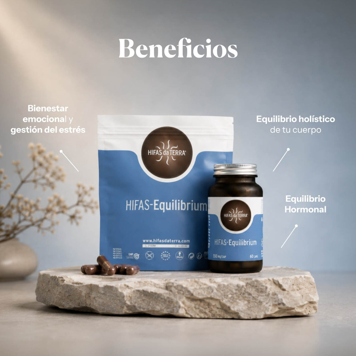 Vorteile von Hifas-Equilibrium: reine Extrakte aus Reishi, Löwenmähne und Cordyceps | Hifas da Terra
