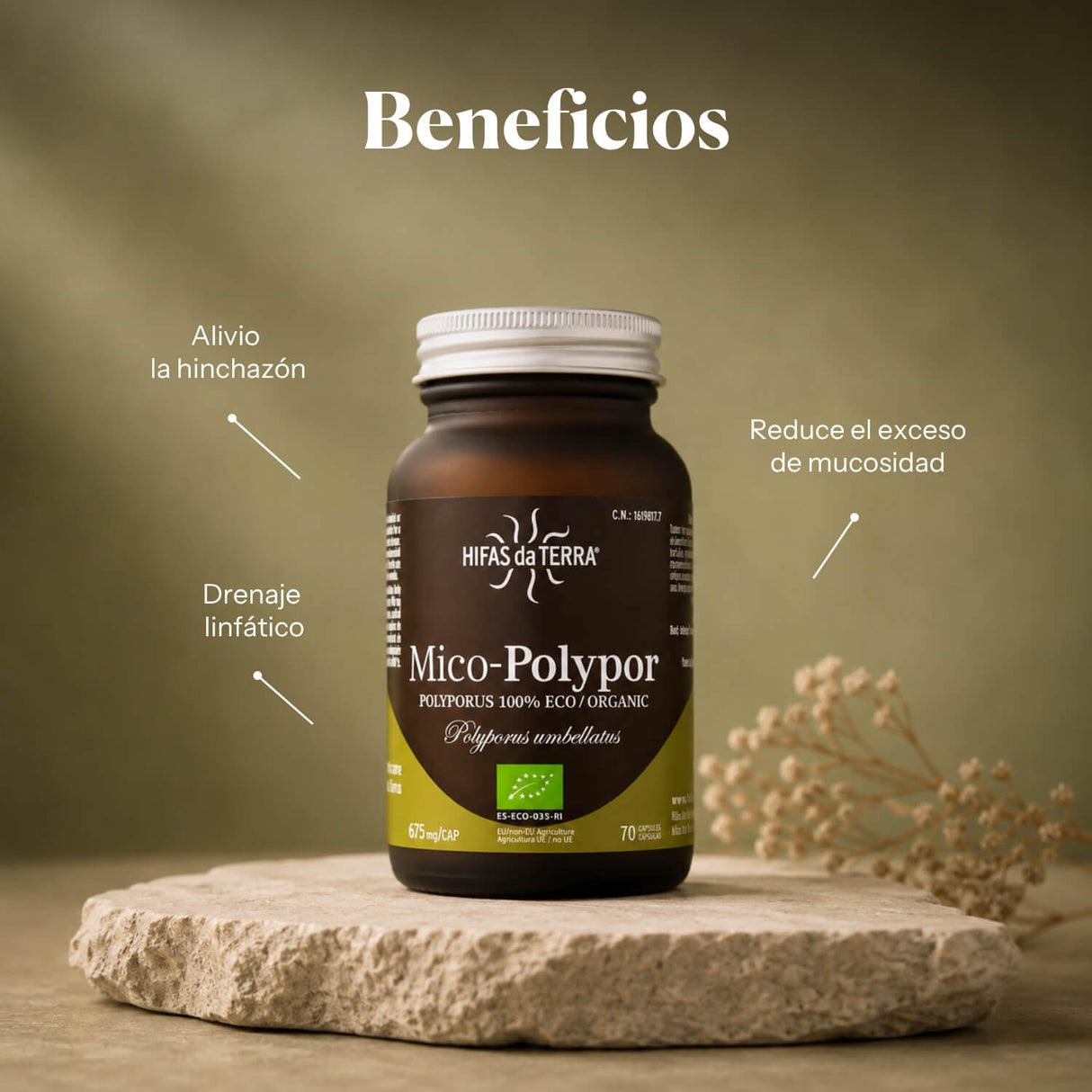 Mico-Polypor