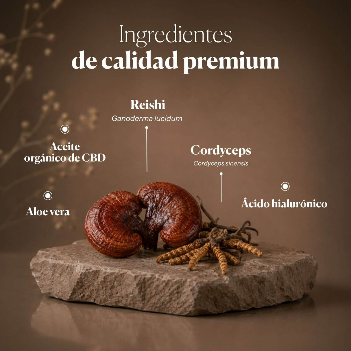 Mico-Repair - Serum mit Reishi und Cordyceps