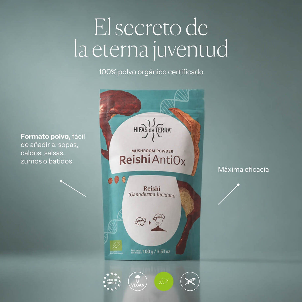 Reishi Antiox 100% Bio-Reishi-Pulver