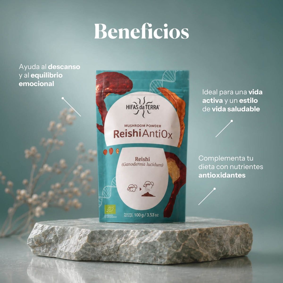 Reishi Antiox 100% Bio-Reishi-Pulver