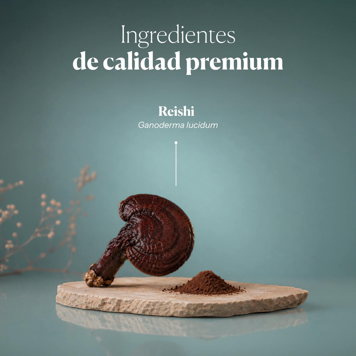 Reishi Antiox 100% Bio-Reishi-Pulver