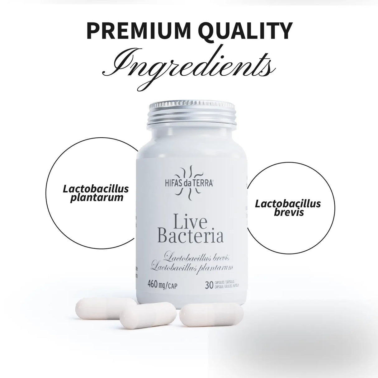 Live-Bacteria - Probiotika in Kapseln