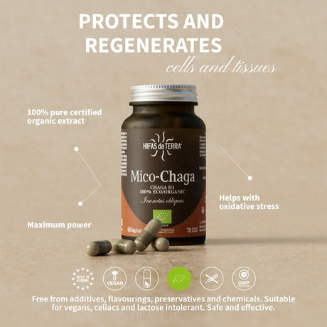 Mico-Chaga Reine Bio-Chaga-Kapseln