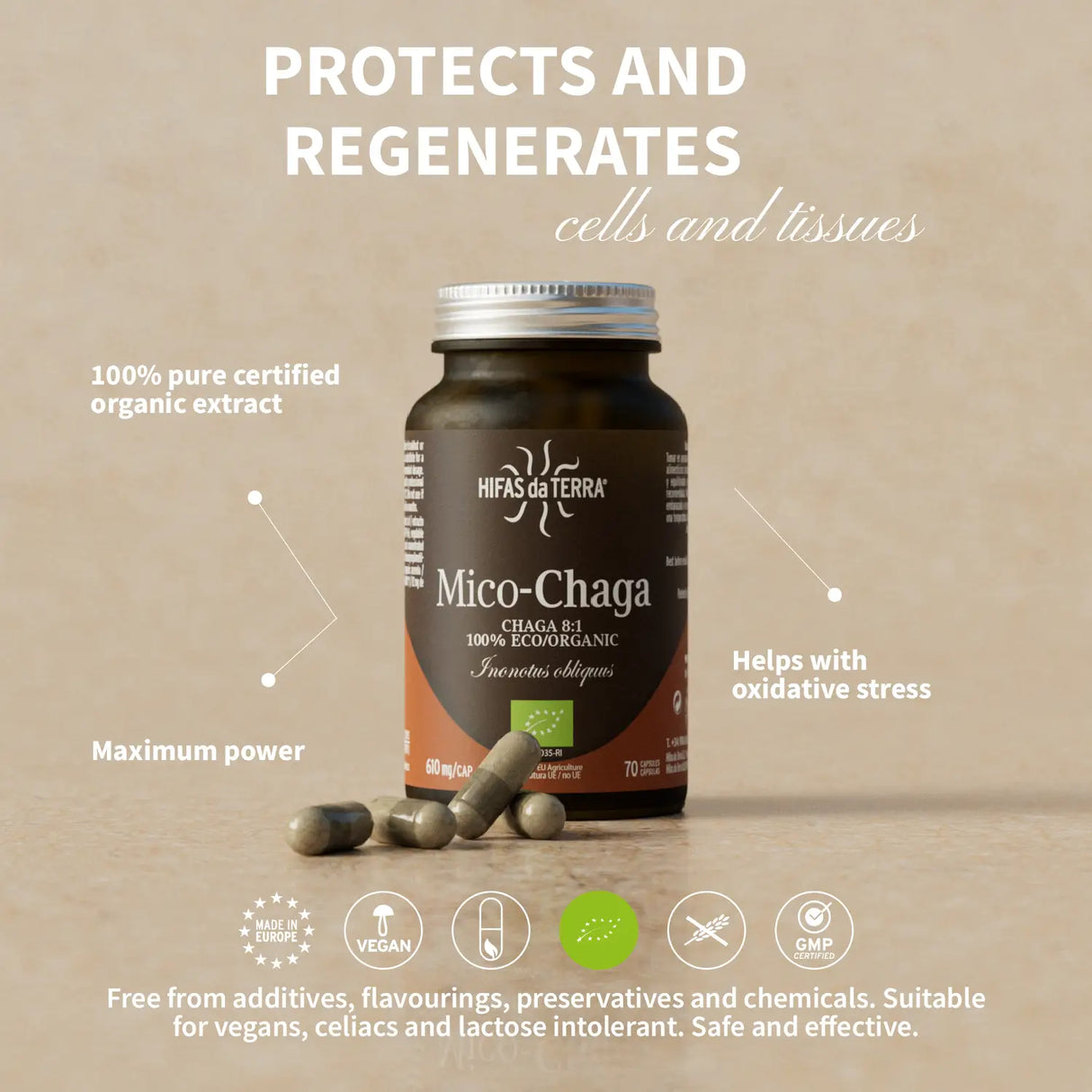 Mico-Chaga Reine Bio-Chaga-Kapseln