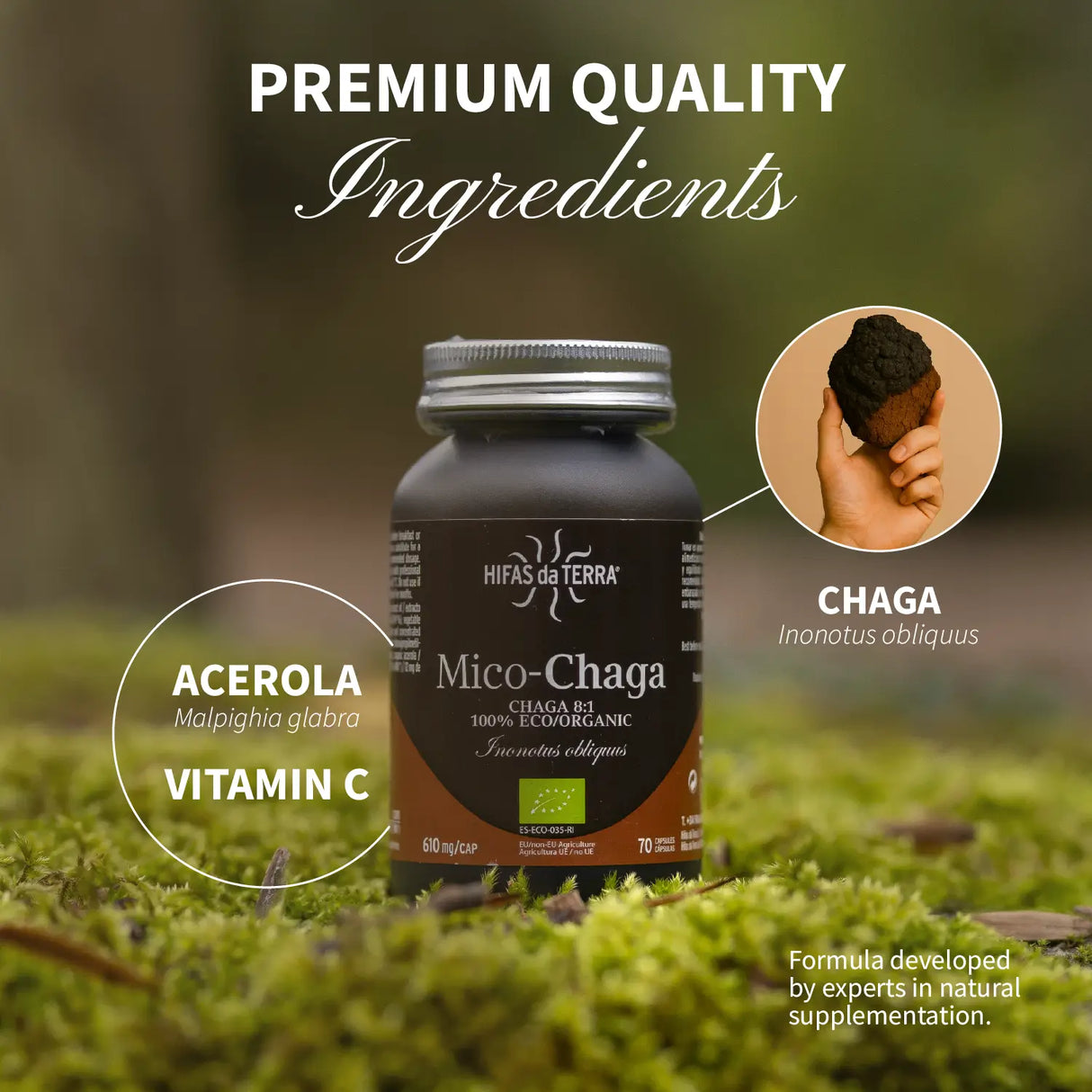 Mico-Chaga Reine Bio-Chaga-Kapseln