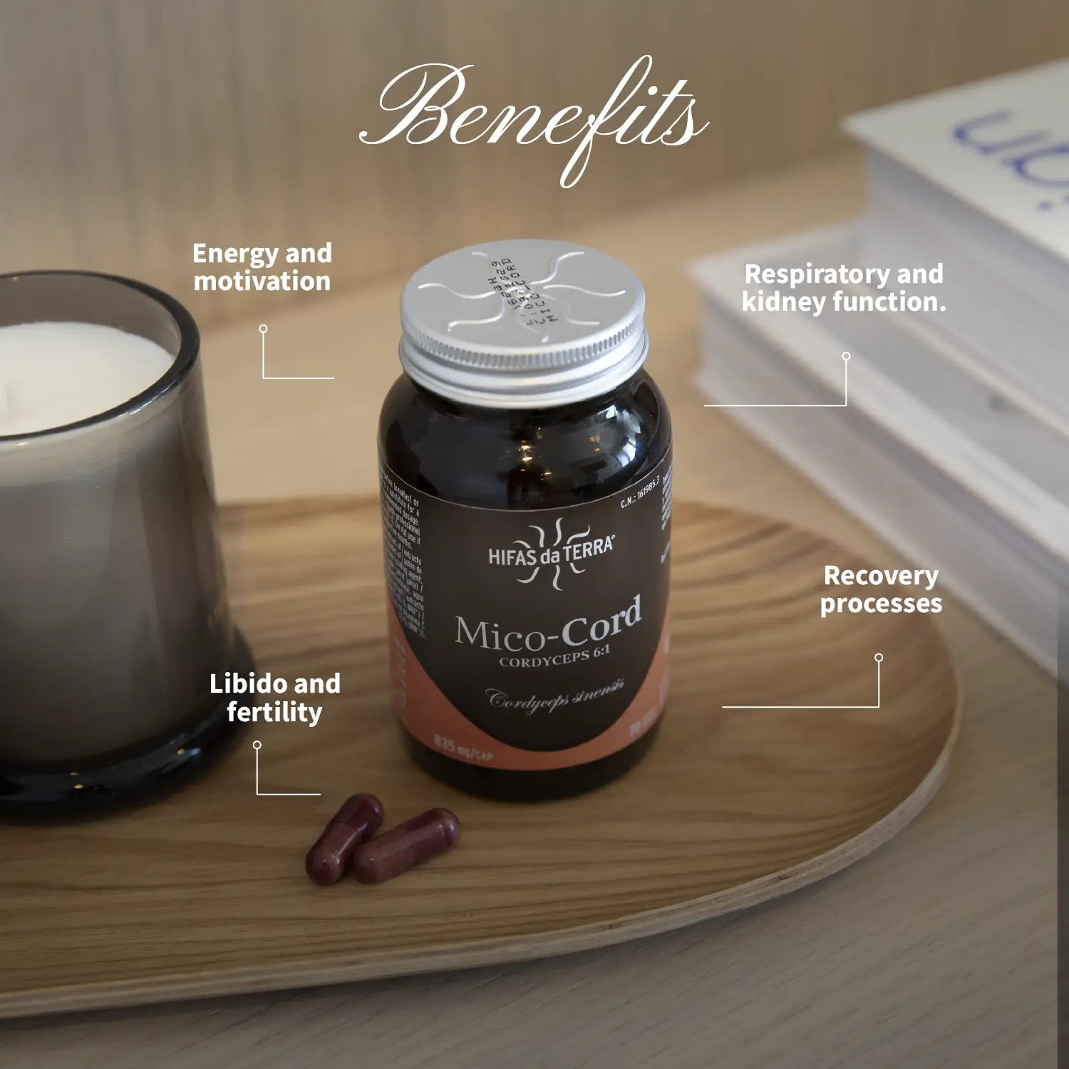 Mico-Cord - 100% Reine Bio-Cordyceps-Kapseln