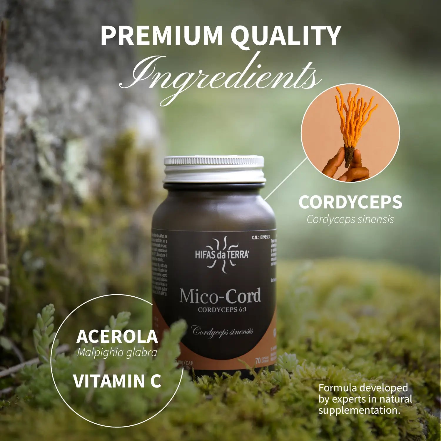 Mico-Cord - 100% Reine Bio-Cordyceps-Kapseln