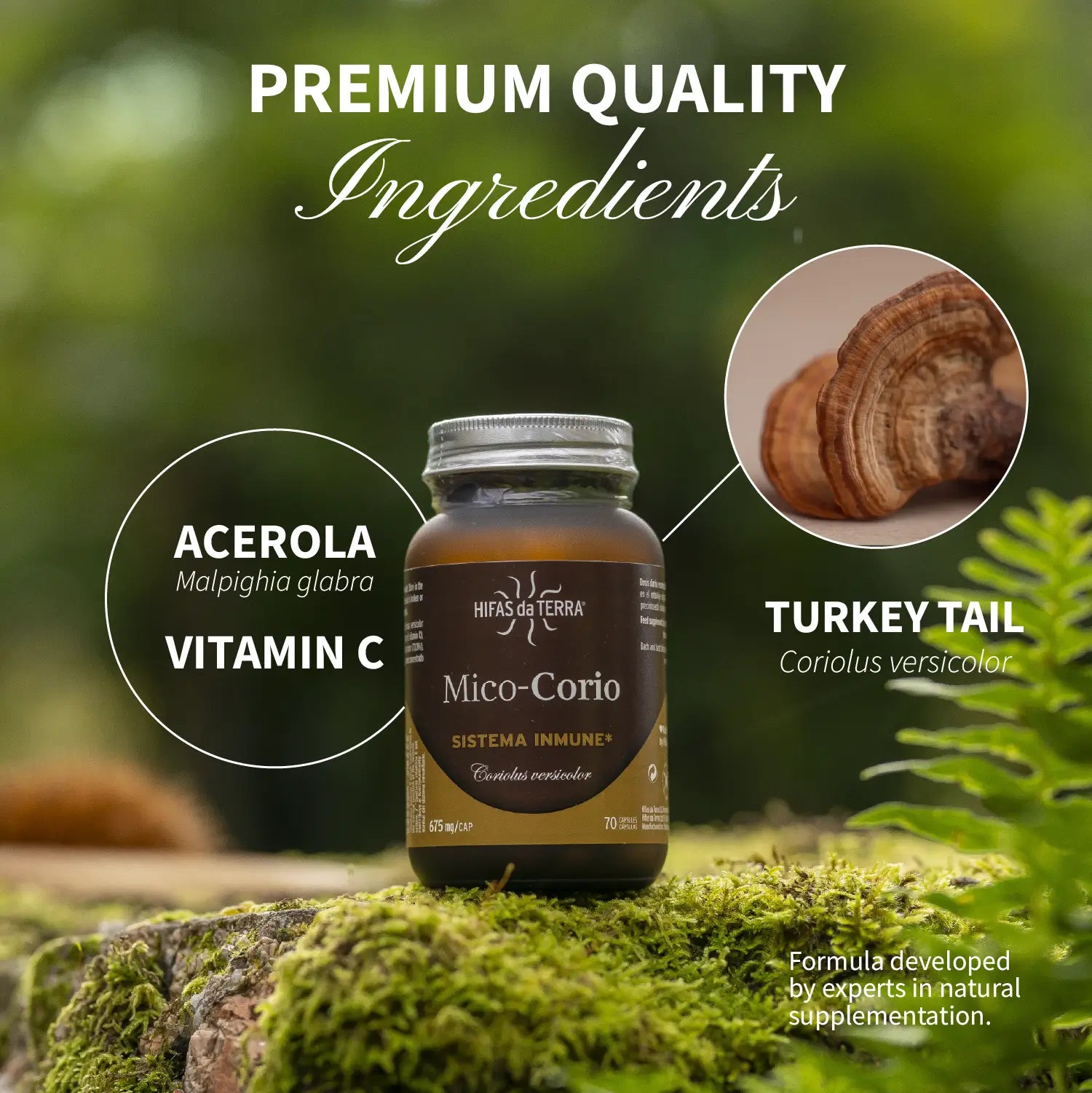 Mico-Corio - 100% reine Coriolus-Kapseln