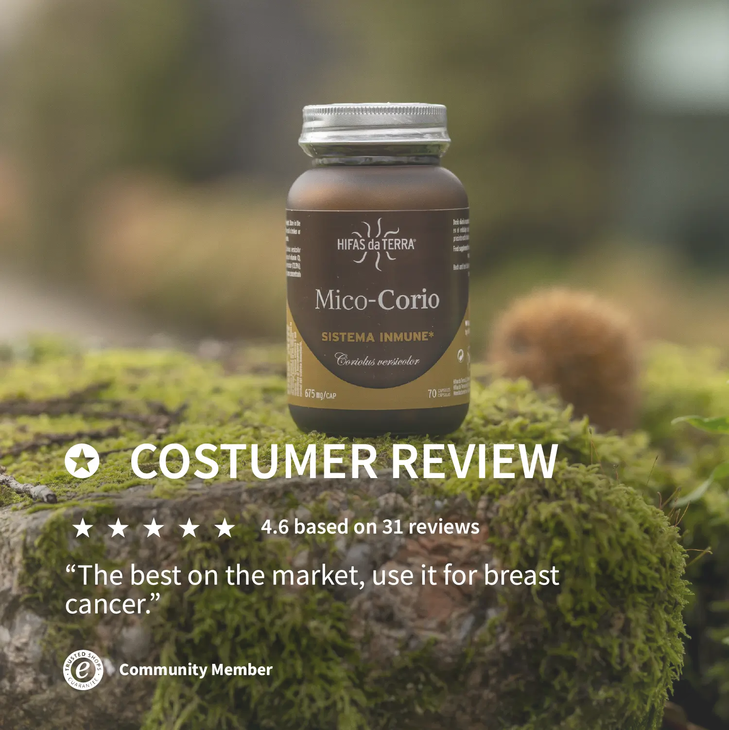 Mico-Corio - 100% reine Coriolus-Kapseln