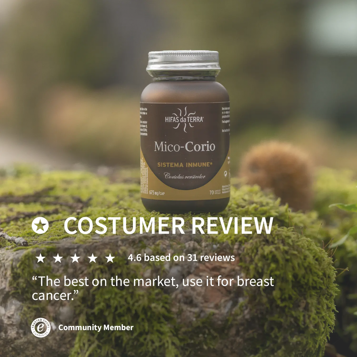 Mico-Corio - 100% reine Coriolus-Kapseln