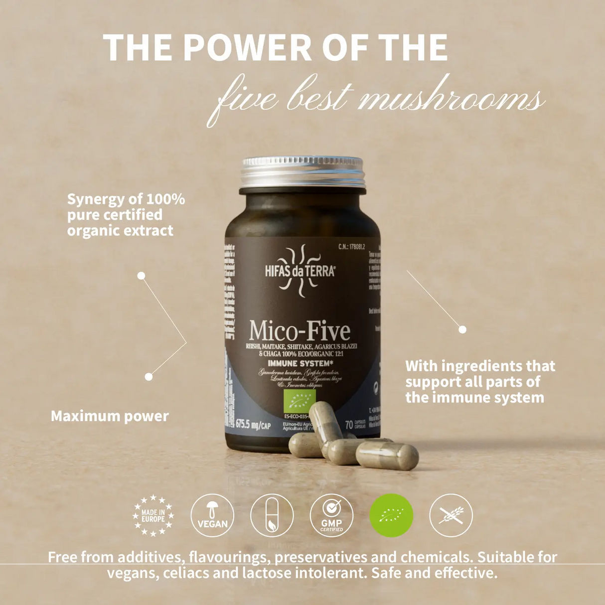 Mico-Five - Pilzkomplex aus Reishi, Shiitake, Maitake, Mandelpilz und Chaga