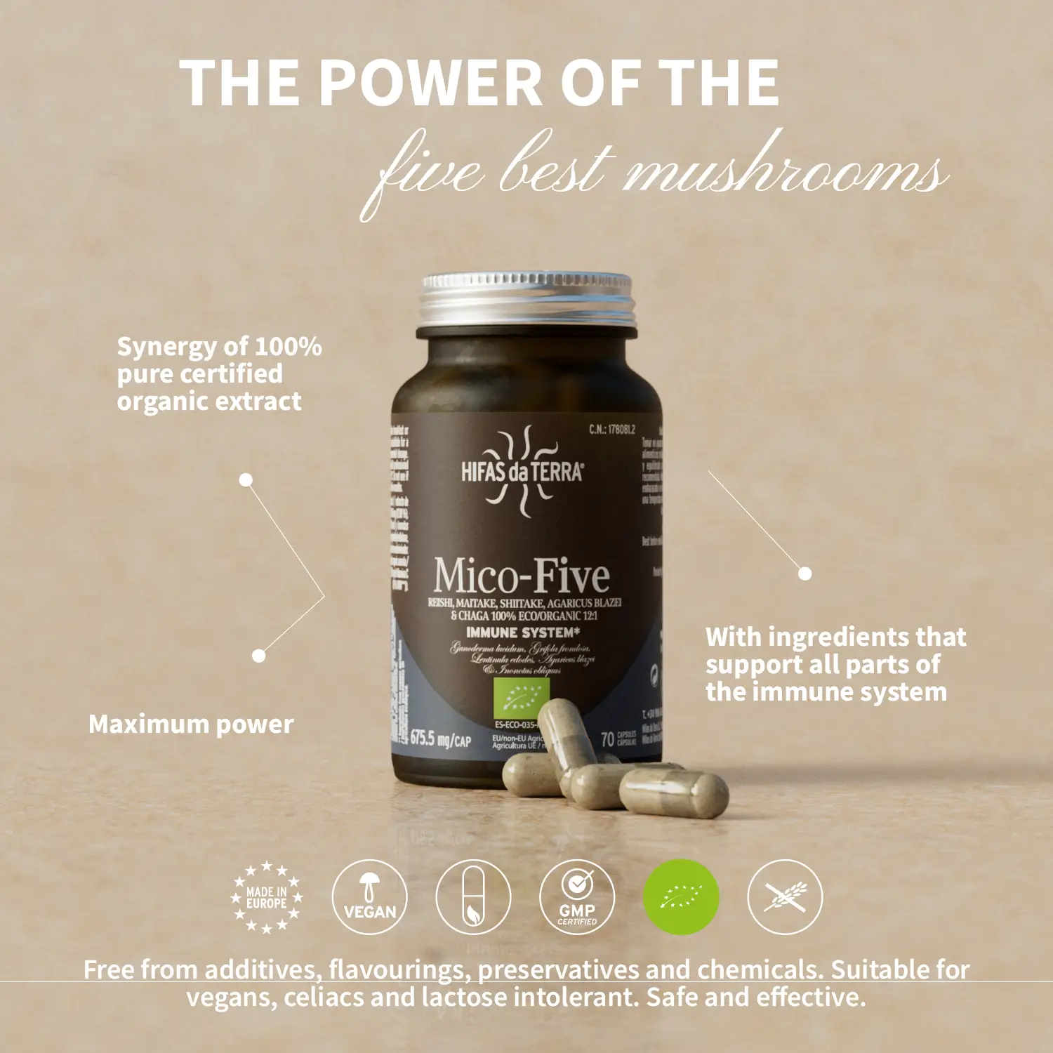 Mico-Five - Pilzkomplex aus Reishi, Shiitake, Maitake, Mandelpilz und Chaga