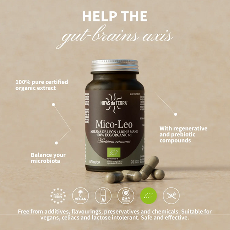 Mico-Leo - 100% Bio-Löwenmähne-Kapseln