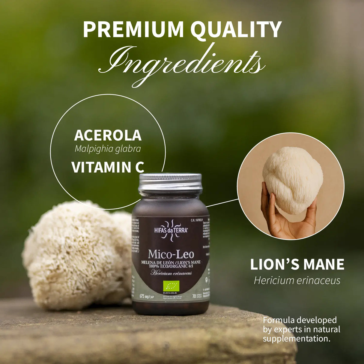 Mico-Leo - 100% Bio-Löwenmähne-Kapseln