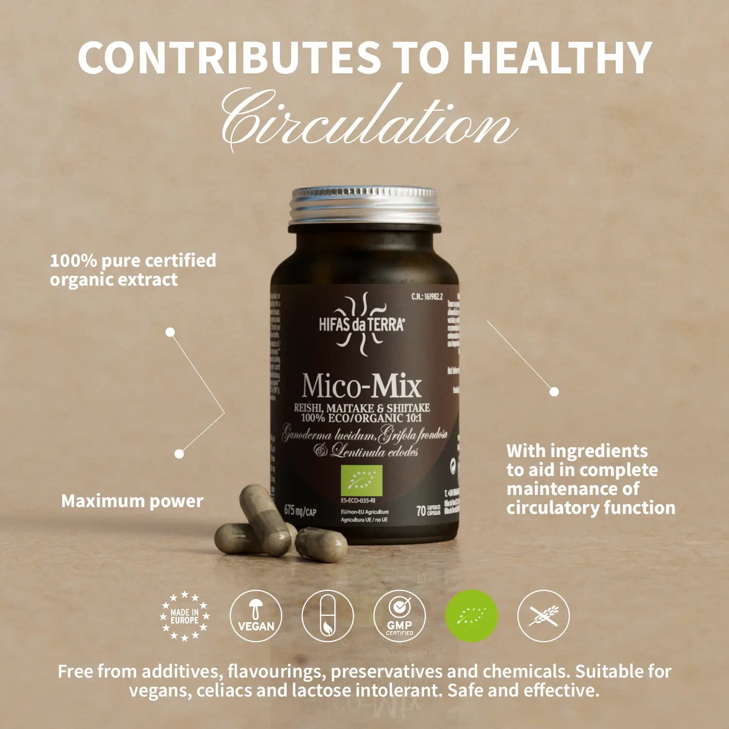 Mico-Mix - Pilzkomplex aus Reishi, Shiitake und Maitake