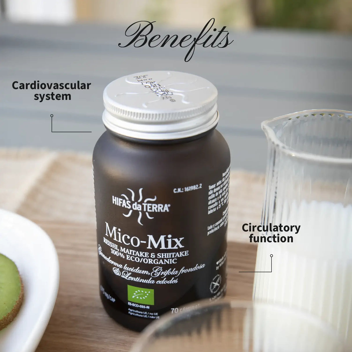 Mico-Mix - Pilzkomplex aus Reishi, Shiitake und Maitake