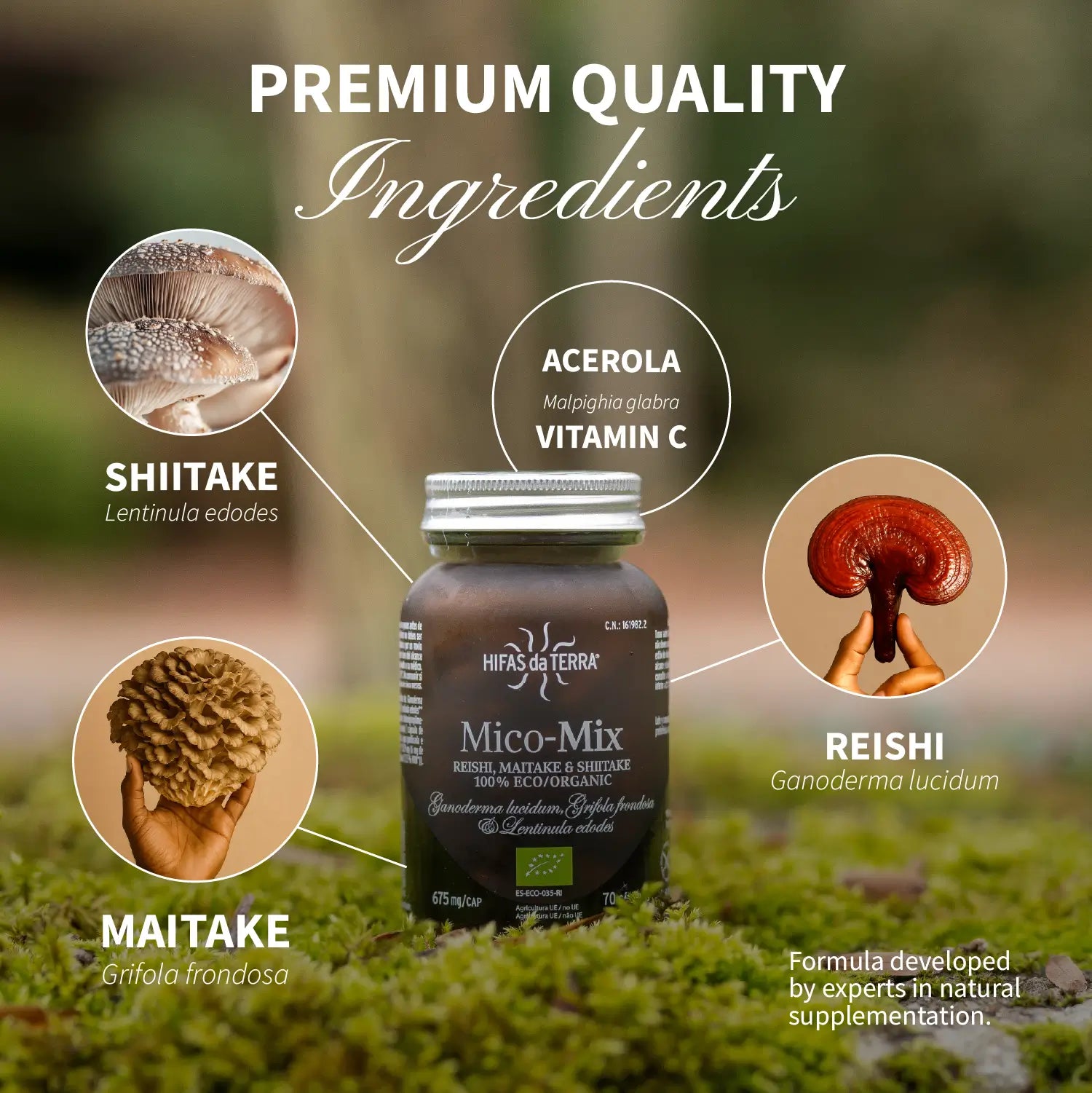 Mico-Mix - Pilzkomplex aus Reishi, Shiitake und Maitake