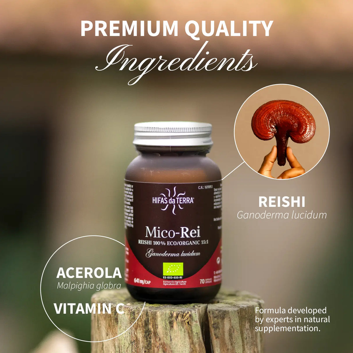 Mico-Rei - 100% Bio-Reishi-Kapseln