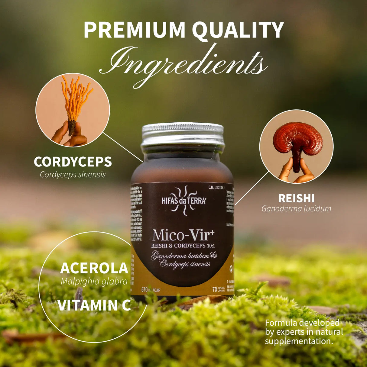 Mico-Vir+ Reishi -und Cordyceps-Extrakt
