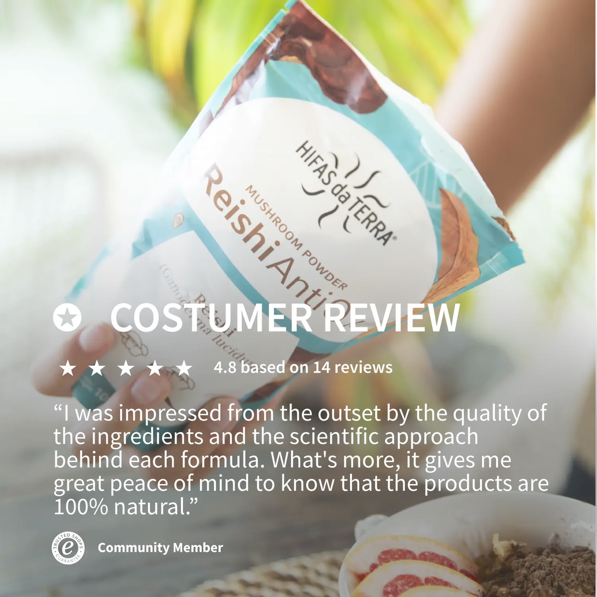 Reishi AntiOx Powder Superfood (Organic Reishi)