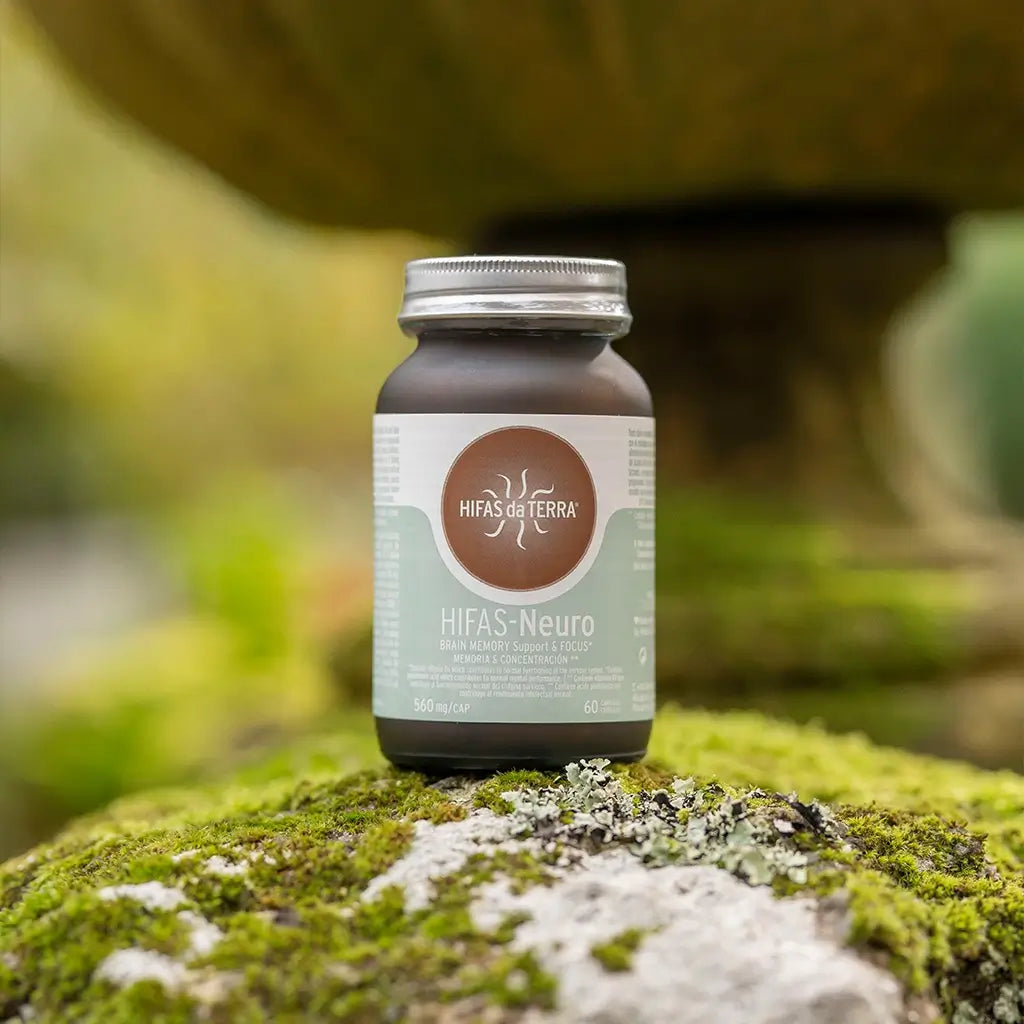 Hifas-Neuro - Gedächtnis und Konzentration