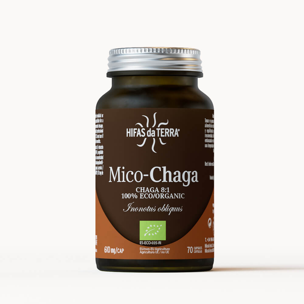 Mico-Chaga Reine Bio-Chaga-Kapseln
