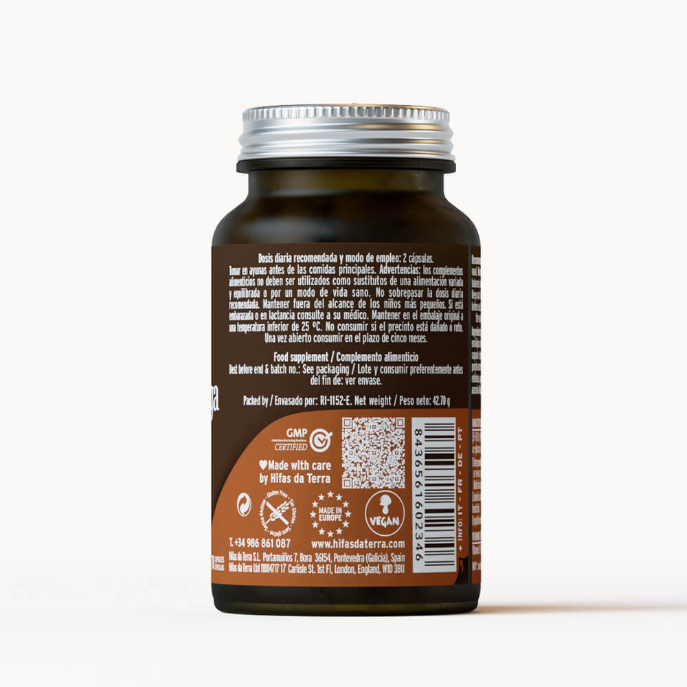 Mico-Chaga Reine Bio-Chaga-Kapseln