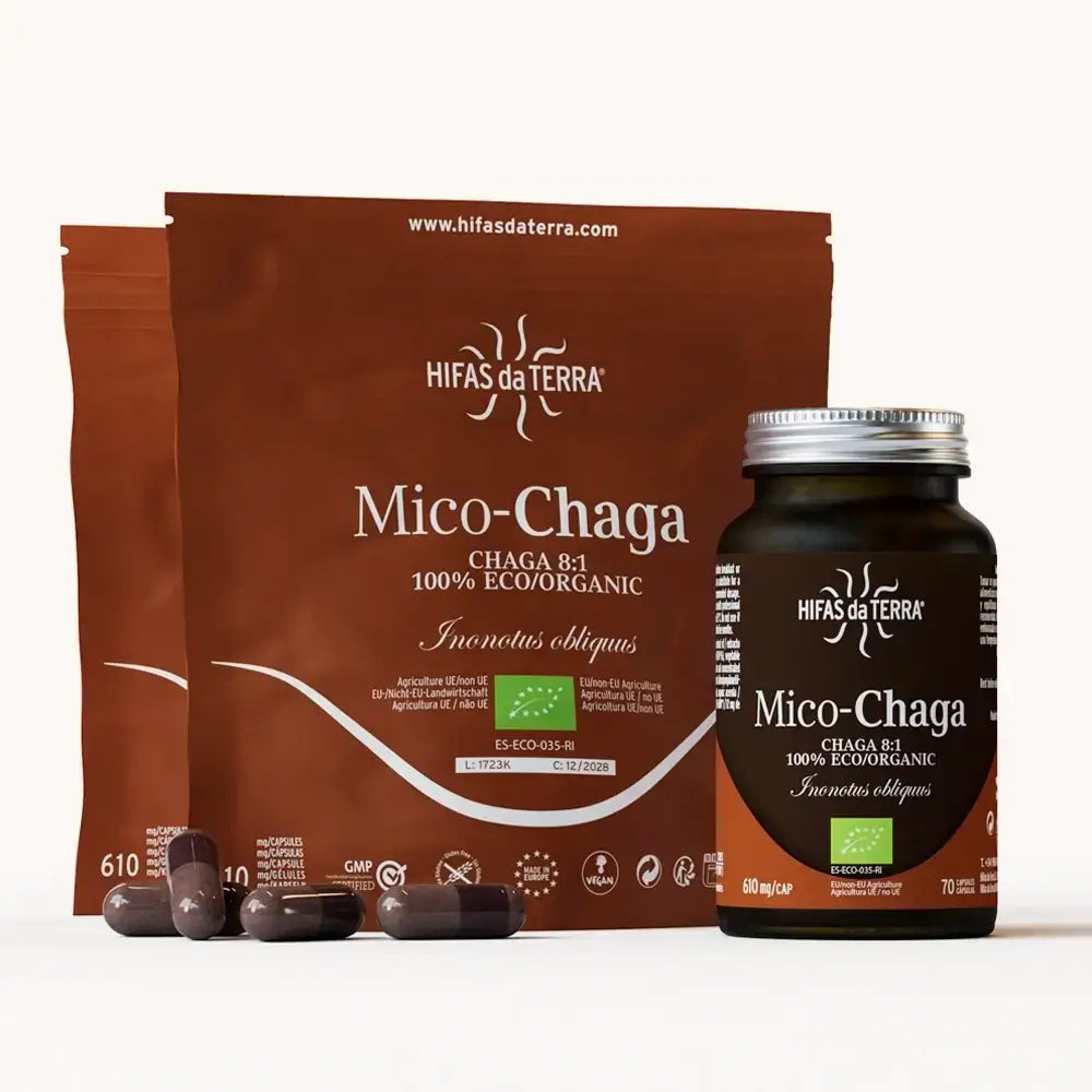 Mico-Chaga Reine Bio-Chaga-Kapseln