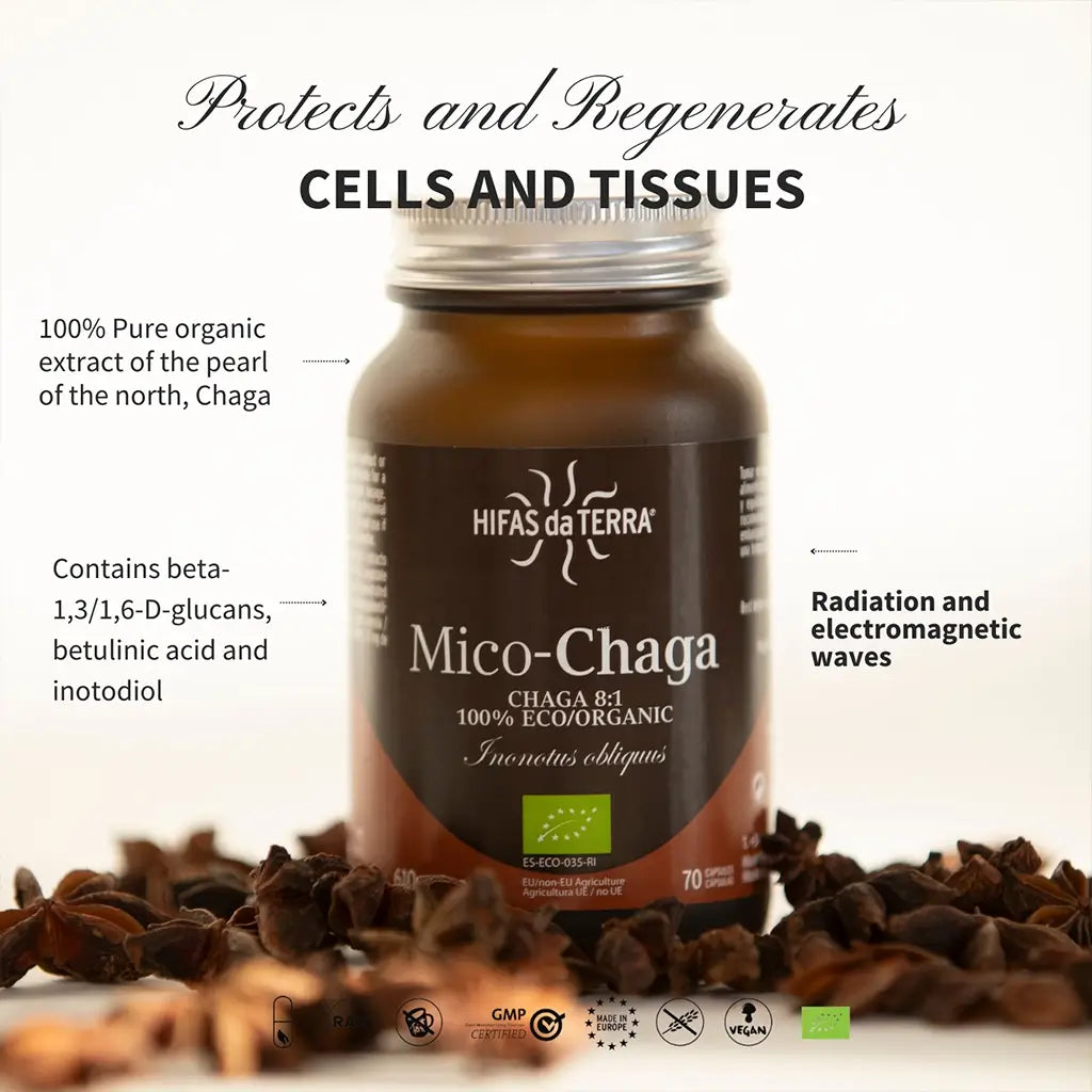 Mico-Chaga Reine Bio-Chaga-Kapseln