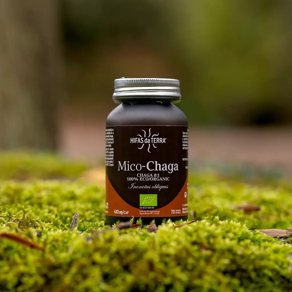 Mico Chaga (Chaga Extract) Capsules