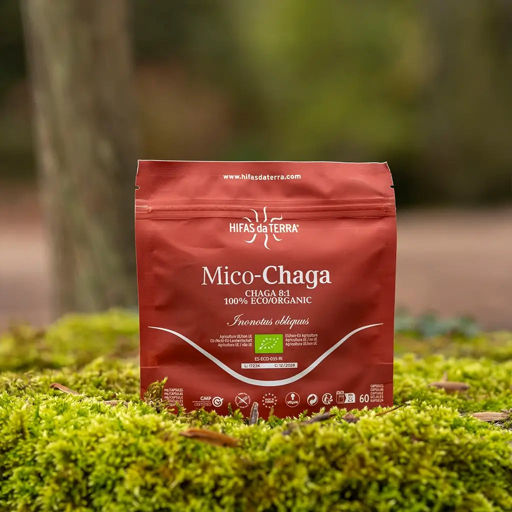 Mico-Chaga Reine Bio-Chaga-Kapseln