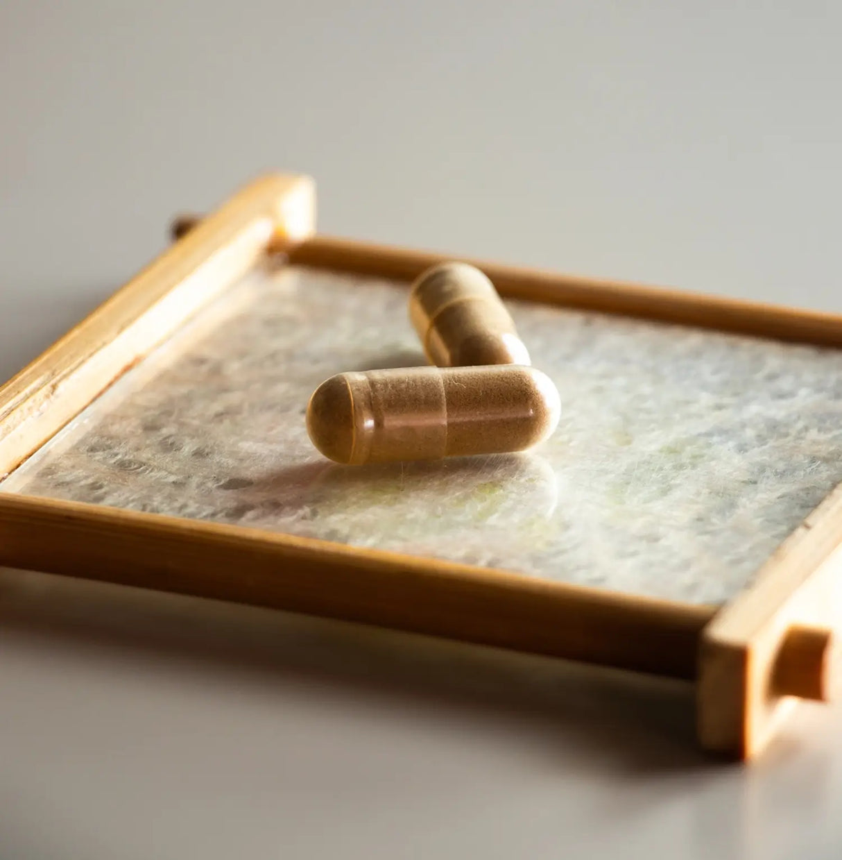 Mico-Chaga Reine Bio-Chaga-Kapseln