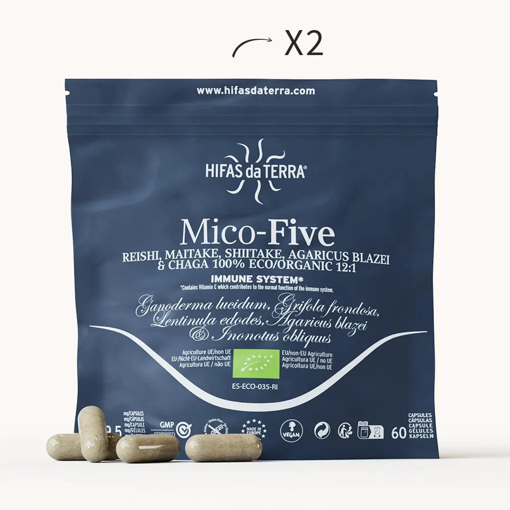 Mico-Five - Pilzkomplex aus Reishi, Shiitake, Maitake, Mandelpilz und Chaga