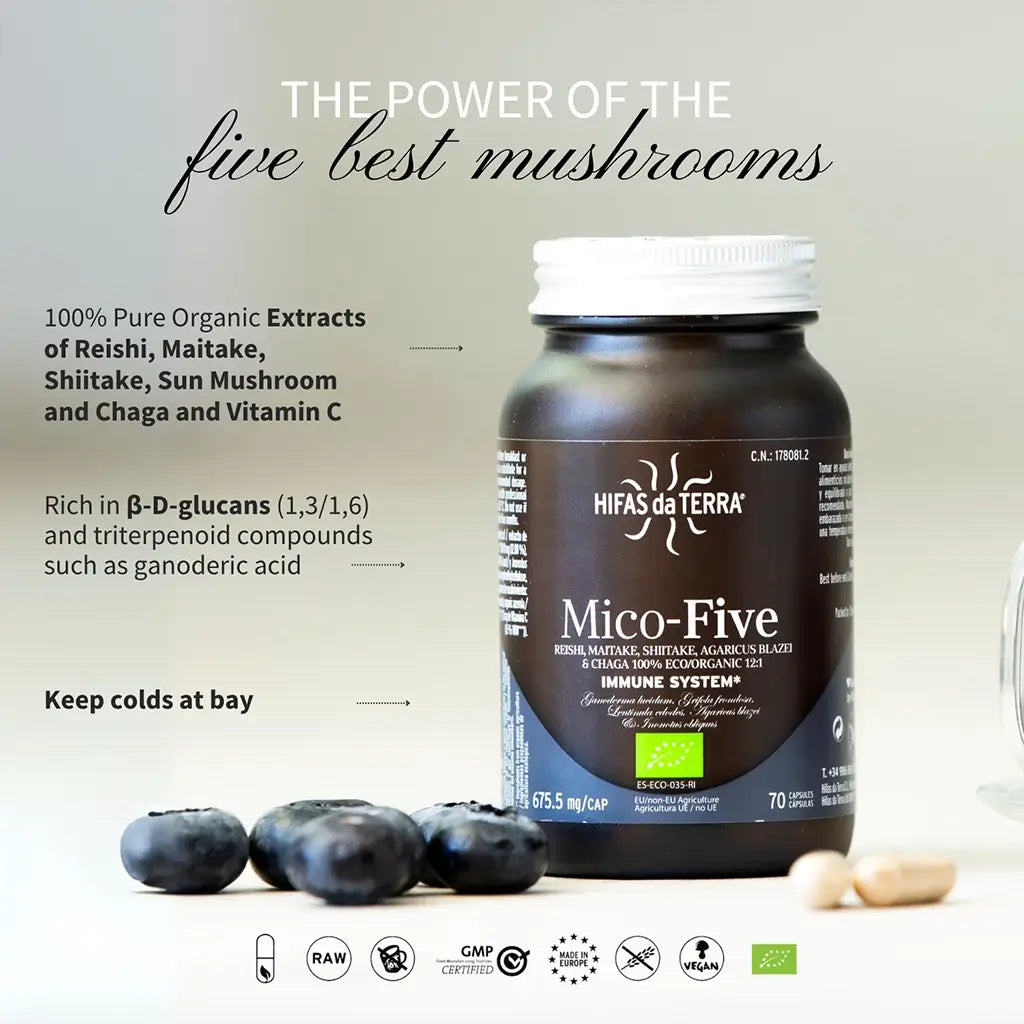 Mico-Five - Pilzkomplex aus Reishi, Shiitake, Maitake, Mandelpilz und Chaga