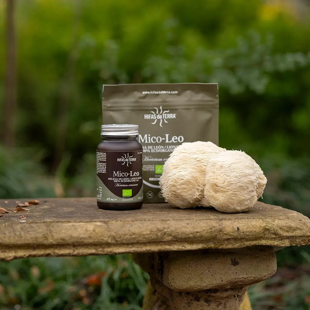 Mico-Leo - 100% Bio-Löwenmähne-Kapseln