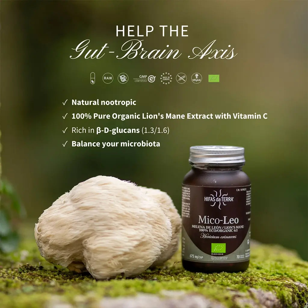 Mico-Leo - 100% Bio-Löwenmähne-Kapseln