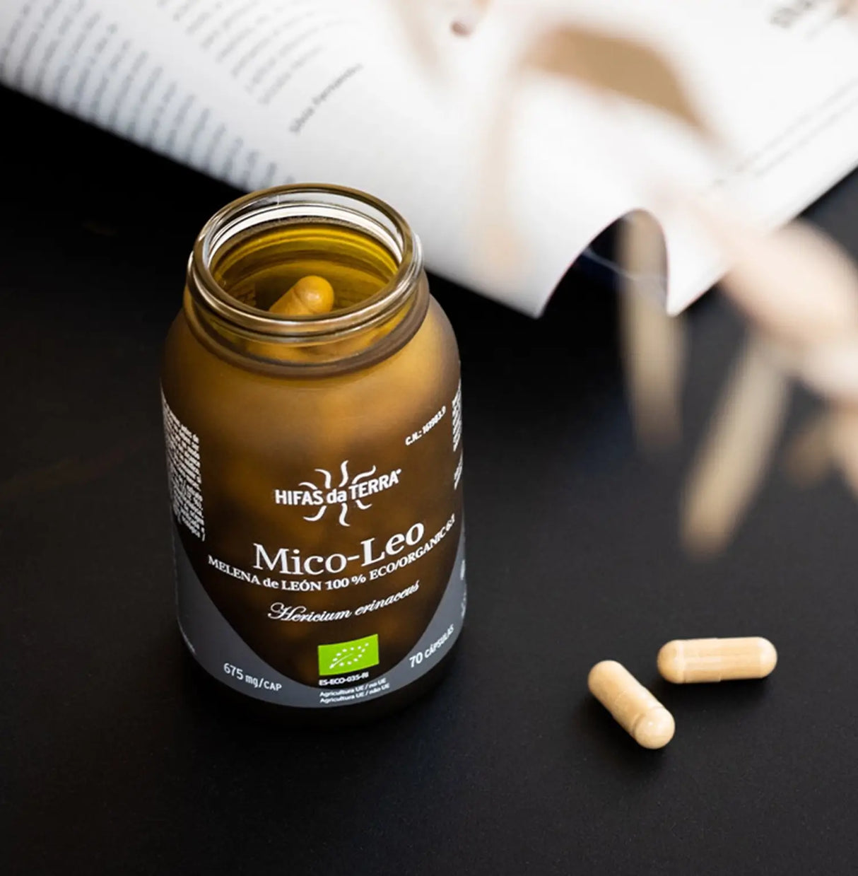 Mico-Leo - 100% Bio-Löwenmähne-Kapseln