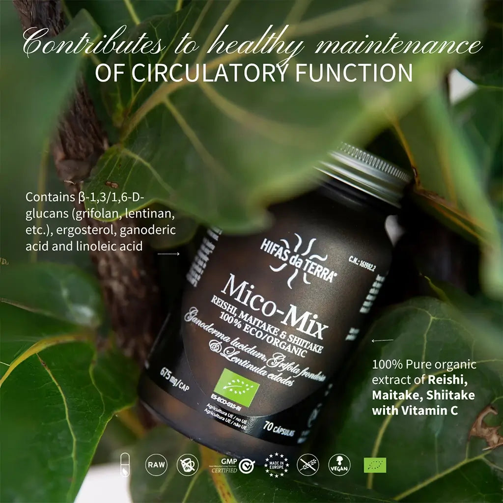Mico-Mix - Pilzkomplex aus Reishi, Shiitake und Maitake