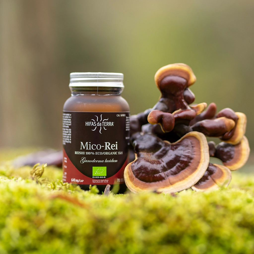 Mico-Rei - 100% Bio-Reishi-Kapseln