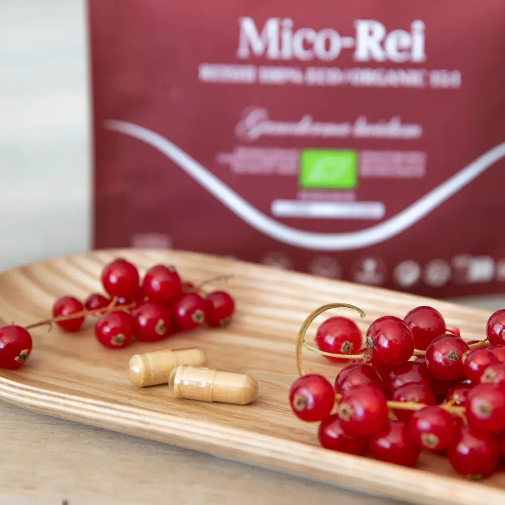 Mico-Rei - 100% Bio-Reishi-Kapseln