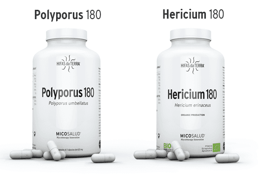 Hericium 180 y Polyporus 180, las nuevas formulaciones de Micoterapia para fases subagudas y mantenimiento