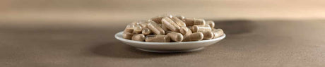 Full Spectrum, Biomass, Double extraction... Understanding Mycotherapy terminology