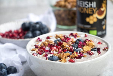 Snack antioxidante: barrita de cereales, frutos rojos, canela y Reishi