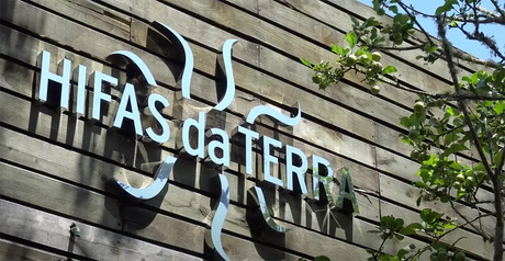 Hifas da Terra 25 years