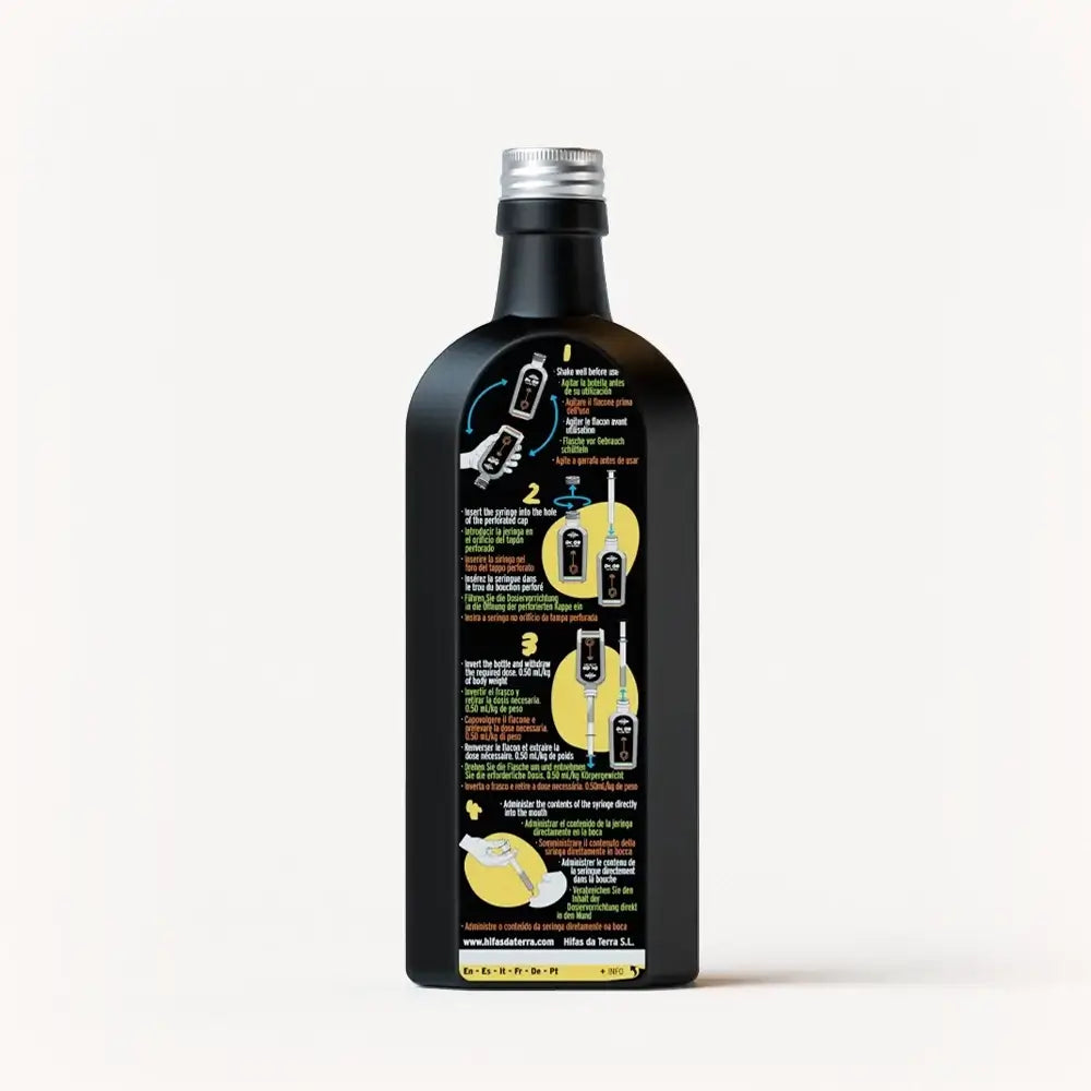 Dr. GB (Gut & Brain) Kindersirup mit Reishi, Löwenmähne, Präbiotika und Vitamin C und A